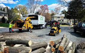  , USA Tree Care Pros